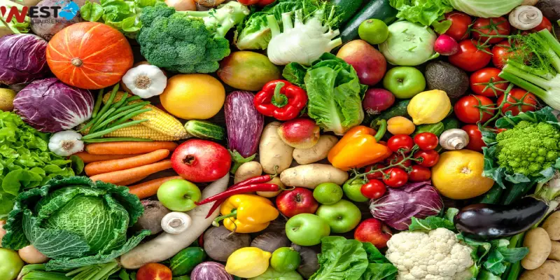 قیمت مواد غذایی در ترکیه